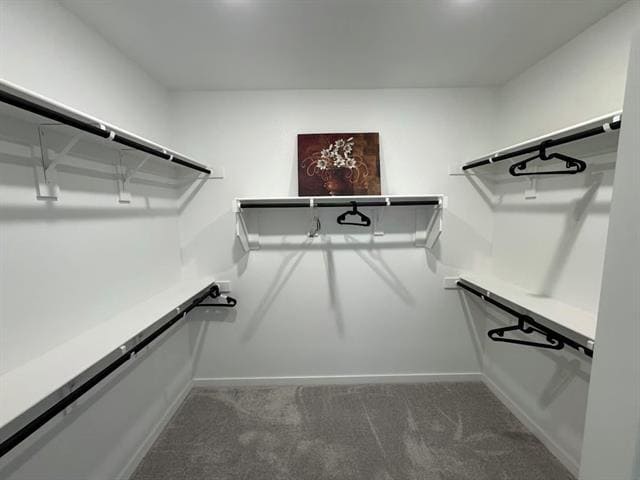 Photo - 229 Invermore Dr