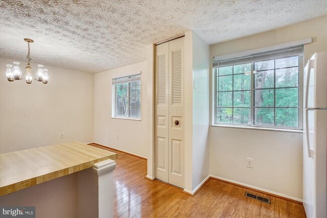 Photo - 11504 Ivy Bush Ct