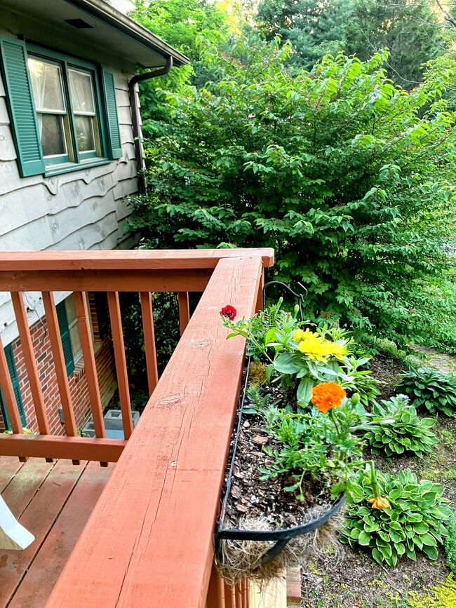 Photo - 38 Bulldog Ln