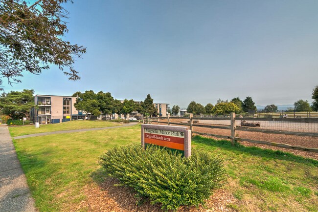 Photo - Magnolia and Magnolia Crest