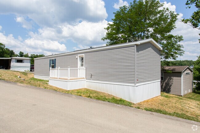 New Colony - New Colony