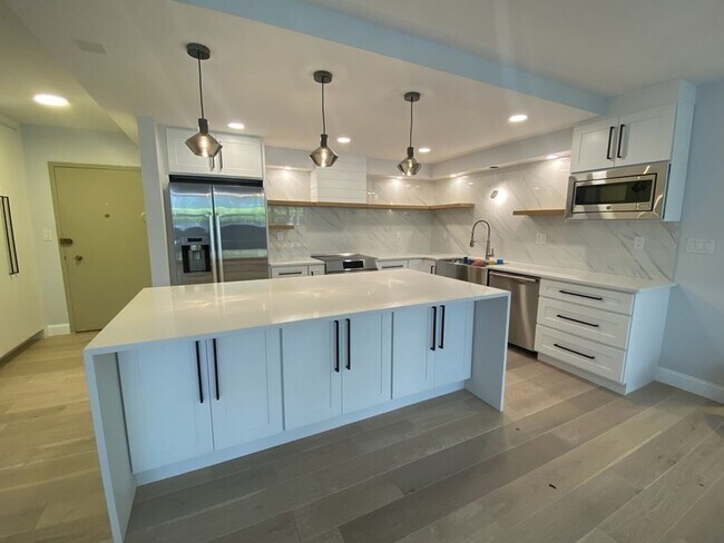 Amazing 2 bed 2 bath in Brookline - Amazing 2 bed 2 bath in Brookline