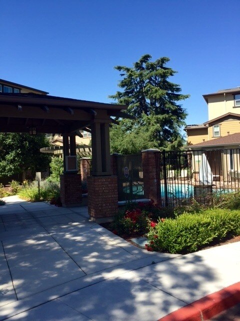 community pool - 722 El Paseo Cir