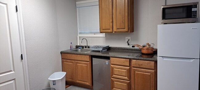 Kitchenet with 2 burner induction cooktop and microwave. - 1368 Pegan Common Unit NA