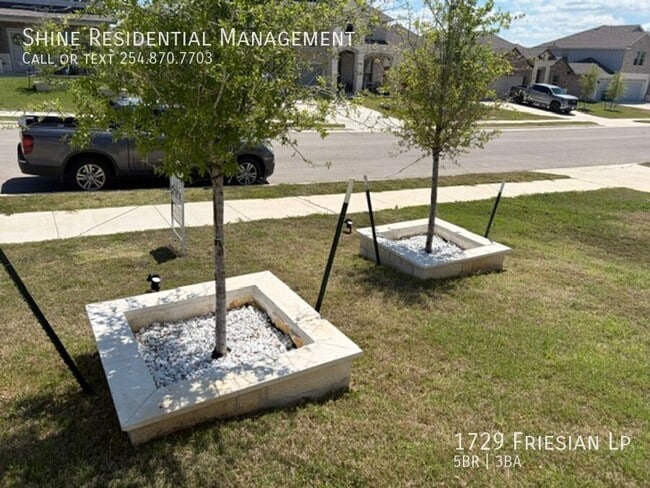 Photo - 1729 Friesian Lp