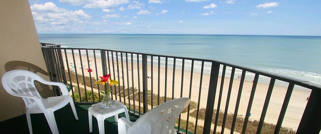 Beachfront Patio - Blue Palmetto