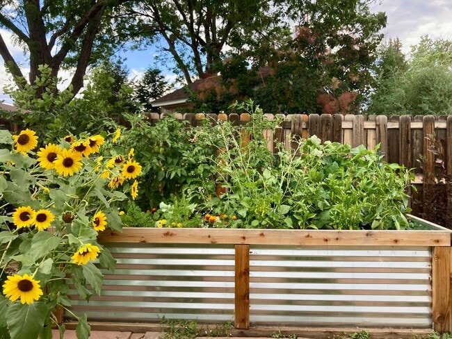 Photo - Wonderful Large 5 Bedroom House with Fenced Back Yard and 2-Car Garage