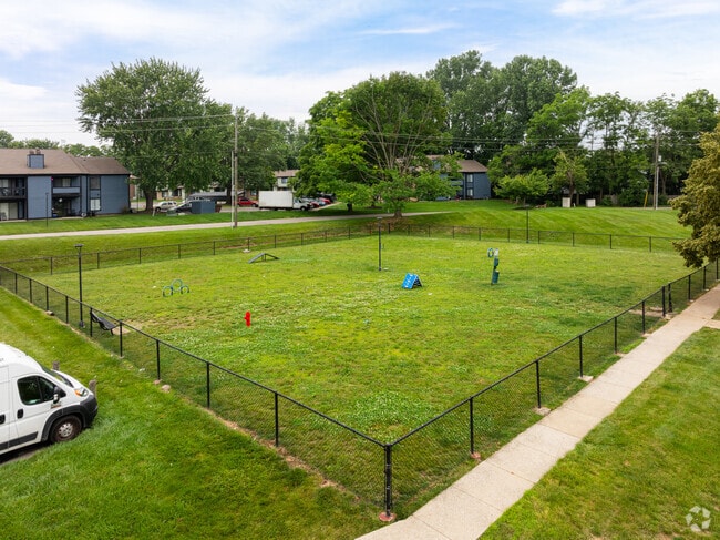 Dog Park