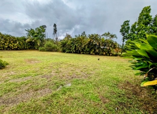 Photo - 15-1456-1456 10th Ave