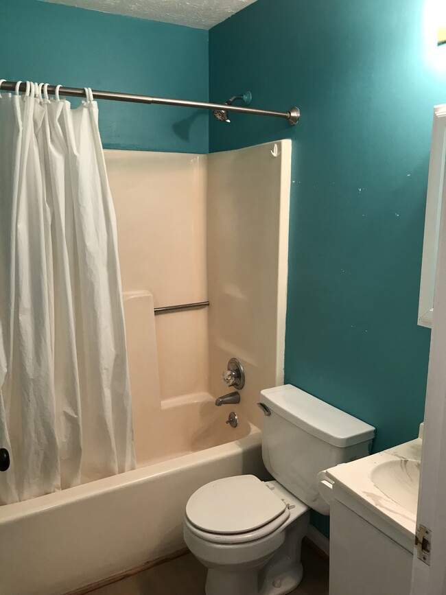 Upstairs full bath, larger linen closet off hall. - 735 Park Cir Townhome