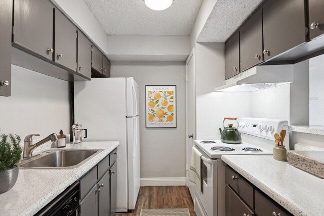 Building Photo - ReNew Scotsdale Rental