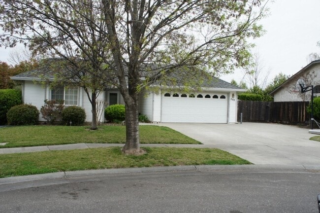 Building Photo - 240 Windrose Ct