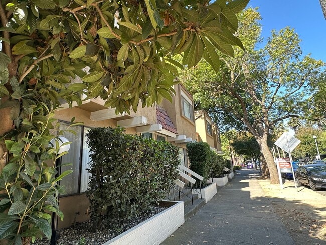 Camellia Court