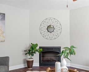 Fireplace in living room - 1109 Maple Tree Ln Unit 1109