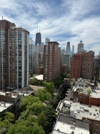 Photo - 1400 N State Pkwy Unit 17E