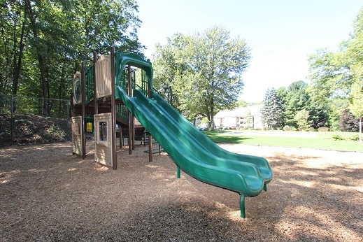 Photo - Redwood Hills