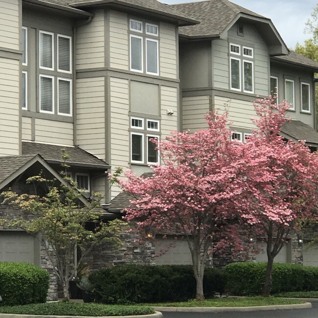 Building view - 320 Old Hickory Blvd Townhome