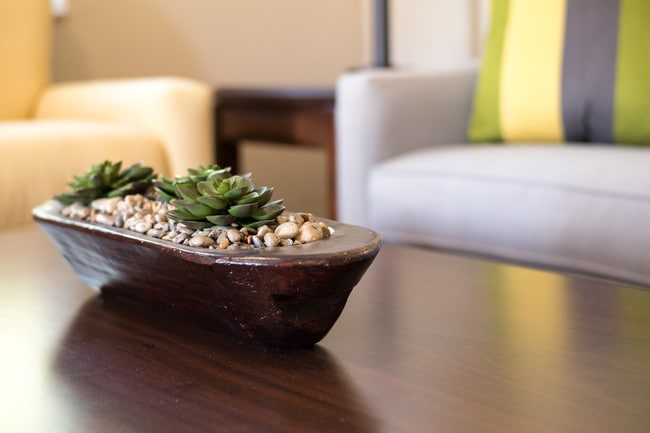 Photo - Laburnum Gardens