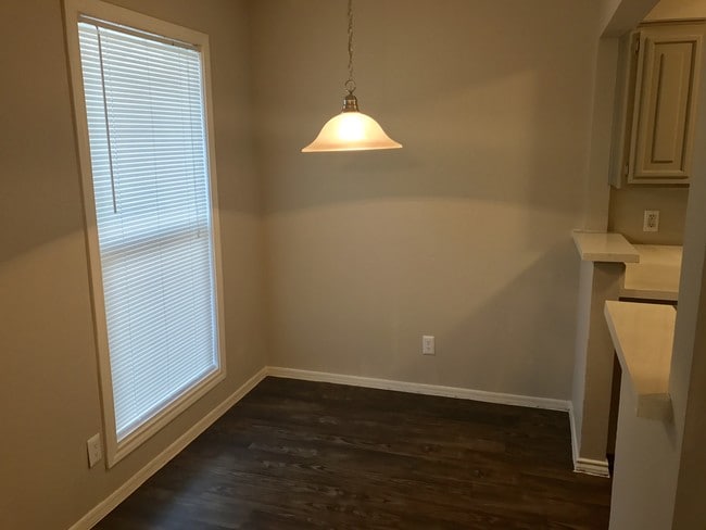 Photo - Lory of College Station