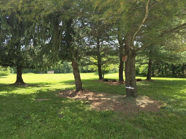 Photo - 8600 Lock Rd