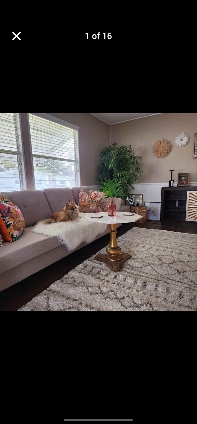 Photo - 82 Maple in the Wood