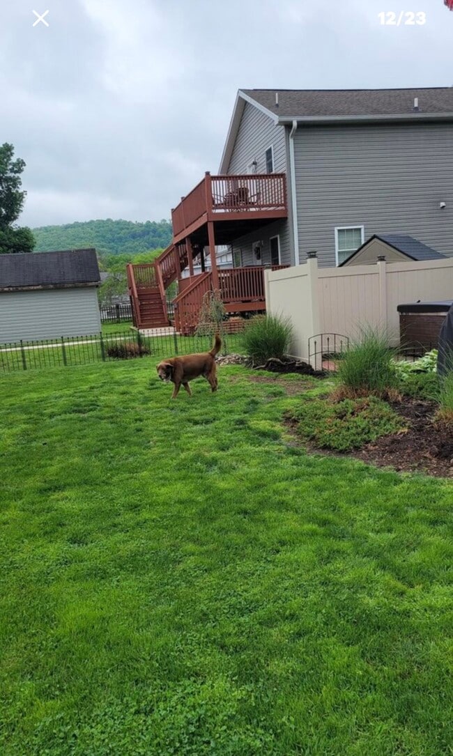 Photo - 1003 Catherine St