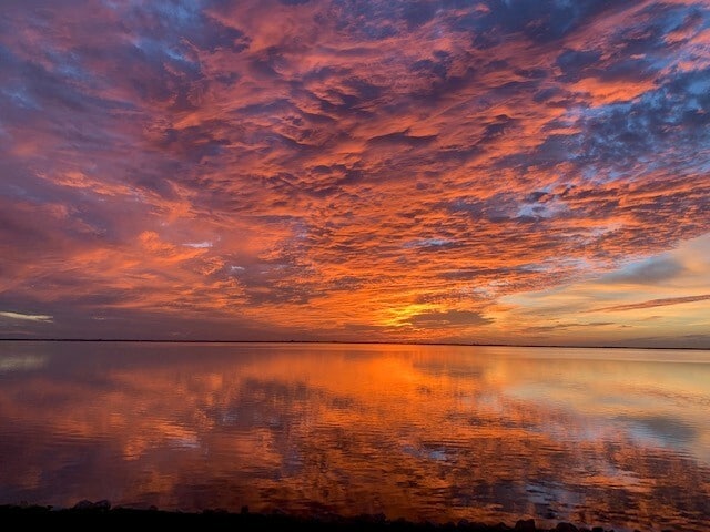 Building Photo - 201 International Dr Unit #733