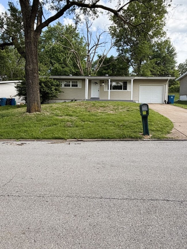 Building Photo - Spacious 3 Bedroom Rental - Ready for Immediate Move-in!