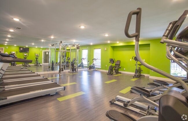 Photo - Monarch Pass