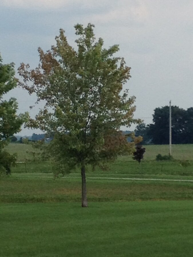 Photo - 505 Vineyards Ct