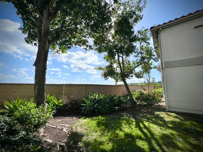 Front yard area... - 10341 Azuaga St Unit 247