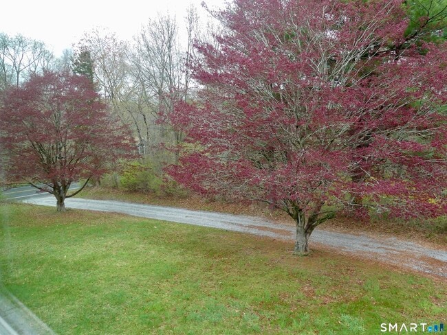 Photo - 21 Winthrop Rd