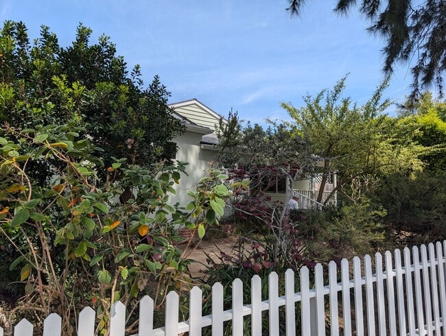 Building Photo - 1043 Pacific St Unit 1