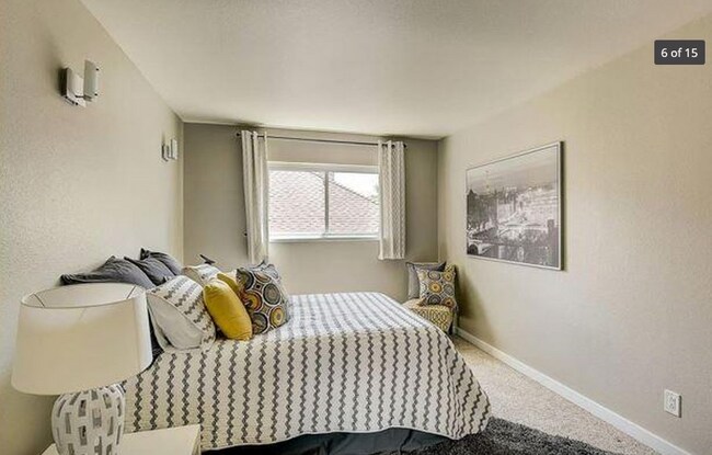 Natural light and A/C window unit (not pictured) - 1245 Columbine St Unit 404