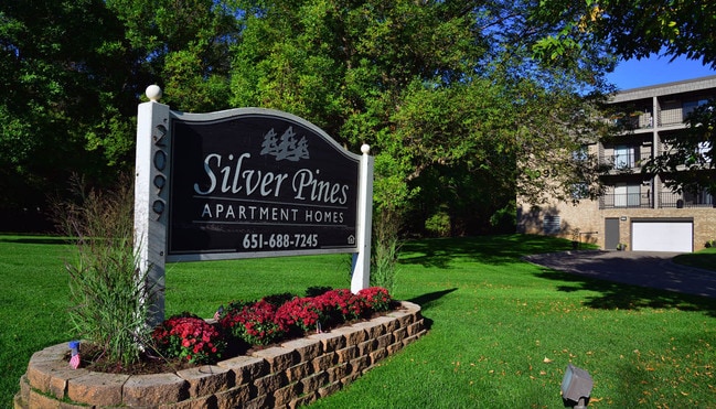 Welcome Home to Silver Pines