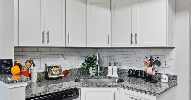 Reno-Model-Kitchen-01-Park-at-Athens-Lakeside-Athens-GA-5 - Arches On The Lake Student Living Apartments