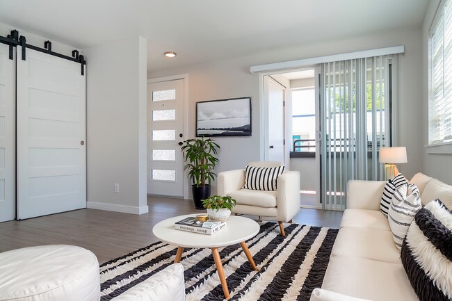 Studio - Flamingo Apartments