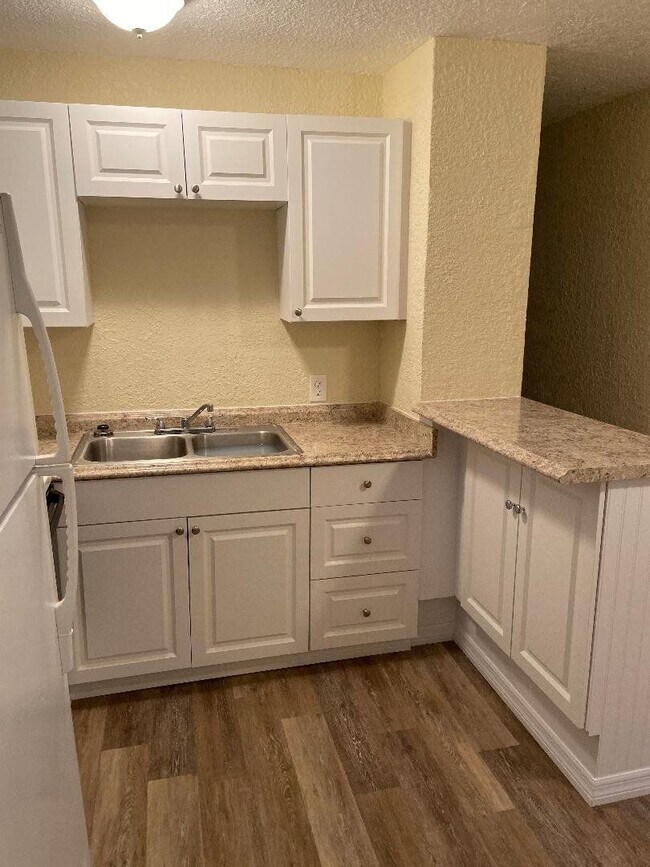 Photo - House for Rent - St Petersburg 3 Bedroom 1 Bath w WD Room