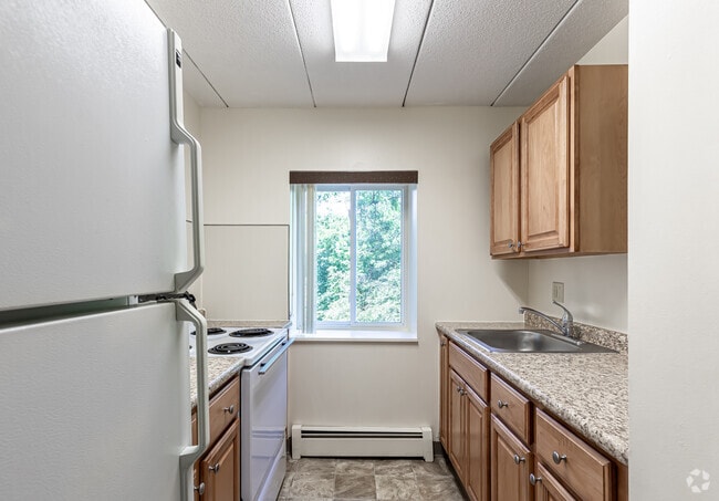 1BR, 1BA - Kitchen