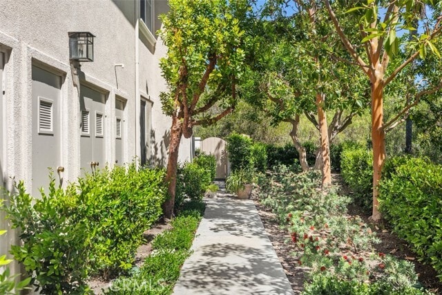 Photo - 1 Calle Viveza