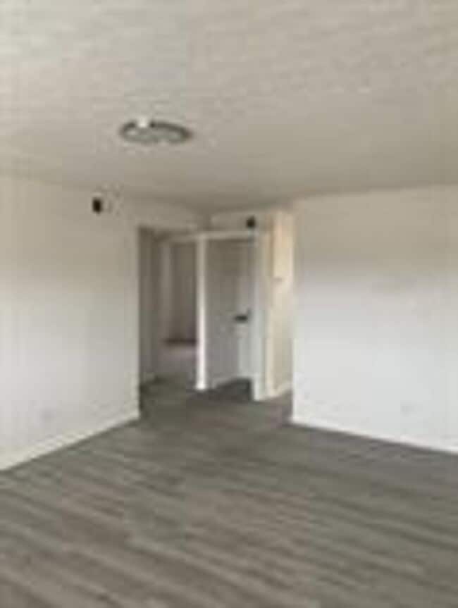 Photo - Elmwood Apartments- 1 and 2 Bedrooms w/ WD... Unit 5