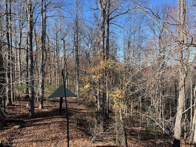 Photo - 1208 Kanuga Ridge Rd House