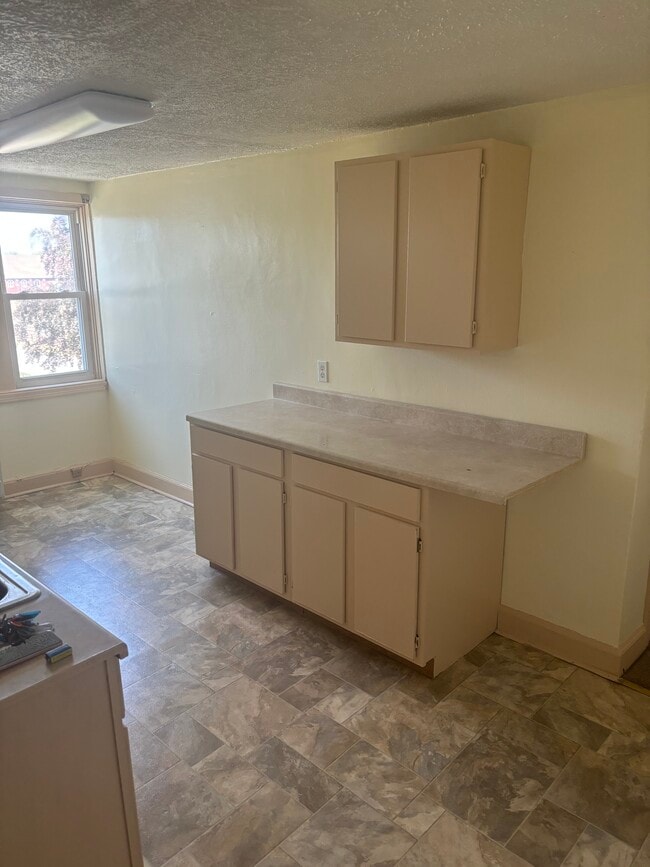 Kitchen - 835 Humboldt Pky Unit Apt. 3B