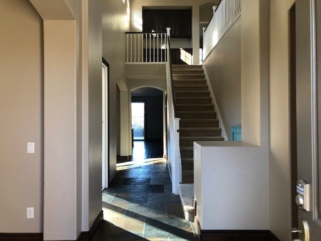 Photo - Strawberrytree