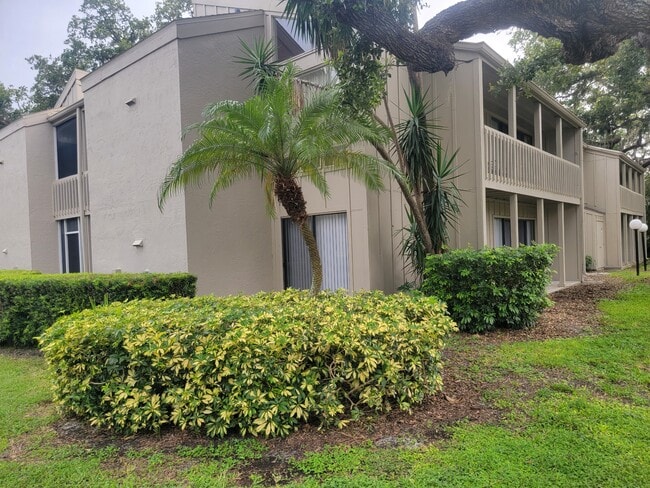 Photo - 2200 Bahia Vista St Unit B3