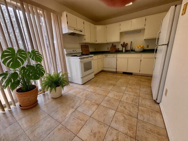 Kitchen - 610 S Cedar St Unit #2