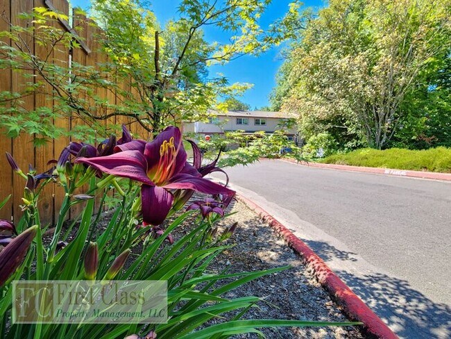 The Village Apartments