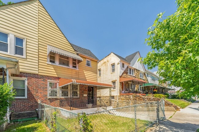 Photo - Narcissus Unidad 1