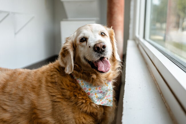 Photo - Wheeler Lofts