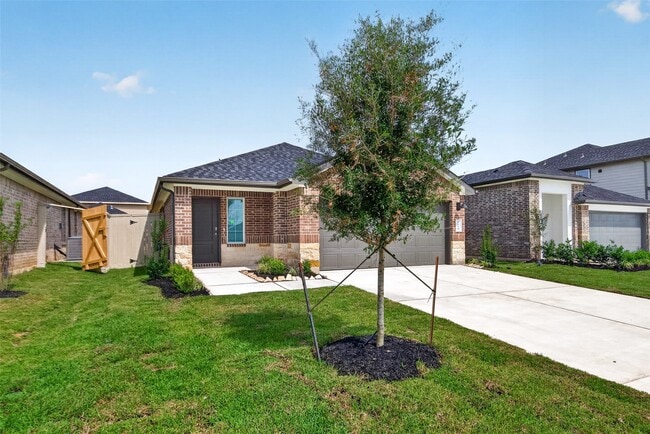 3529 Longhorn Vly St